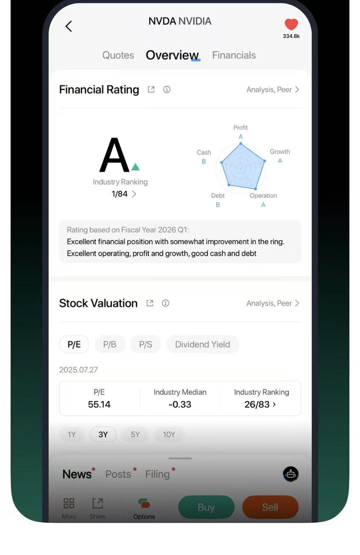 App preview — company overview & financial rating
